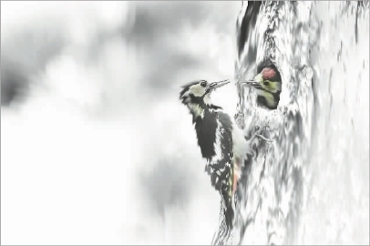 ����ʵ�����ǻ滭������Ӱ��