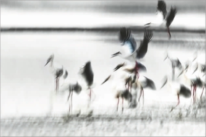 ����ʵ�����ǻ滭������Ӱ��