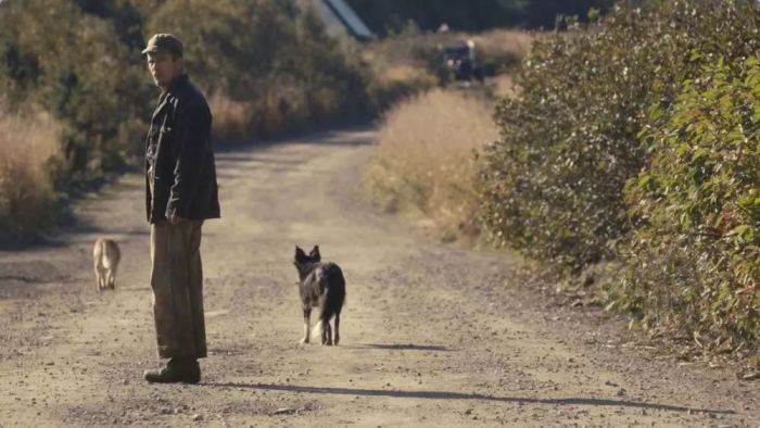 莫娣的治愈世界